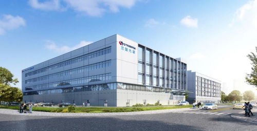 从龙图光罩到环境科技 中国半导体产业自主可控的双轮驱动